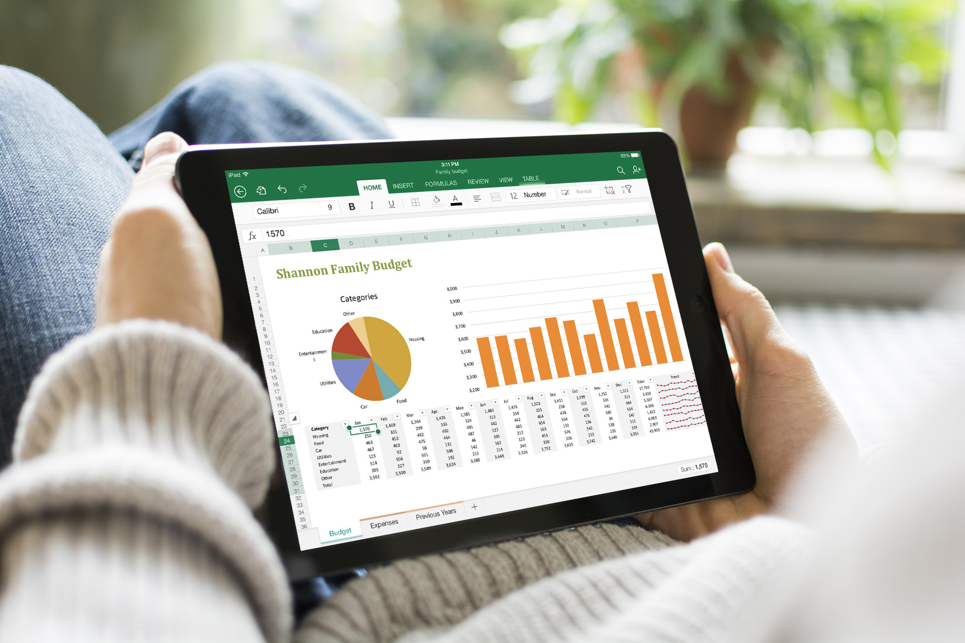 office-for-ipad-excel