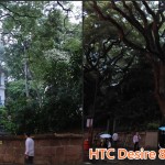 HTC Desire 816 V.S Xperia T2 Ultra (10)
