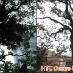 HTC Desire 816 V.S Xperia T2 Ultra (8)