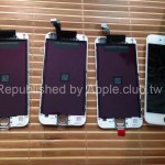 ip6-21
