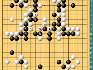 AlphaGo