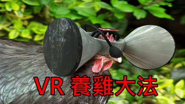 瘋狂構想！用 VR 裝置養雞 ！ - Qooah