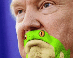 funny-donald-trump-frog-590ae06cb2a8a__700