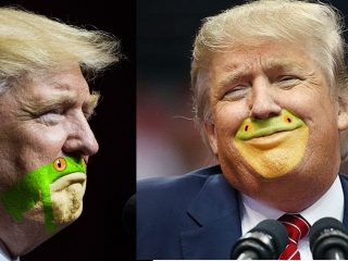 trump-frog