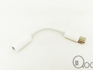 20148946_10154817562138450_498819465_o