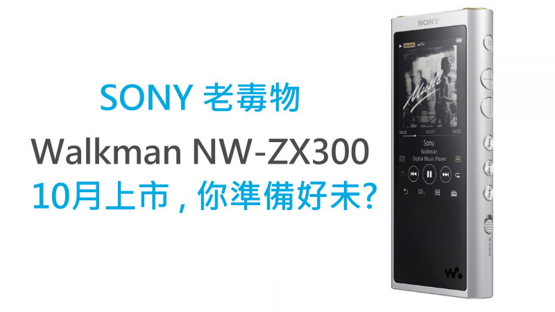 SONY WALKMAN NW-ZX300 64GB 中古 ソニー ウォーク ポータブルプレーヤー