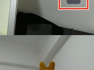 Screenshot_20170906-200330