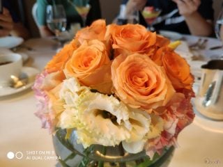 IMG_20090101_000339