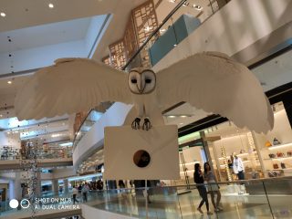 IMG_20090101_005816