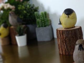 DSC_BOK_20190226150844430