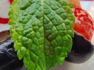 vivo nex3_IMG_20191017_133205