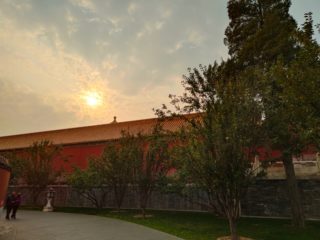 vivo nex3_IMG_20191106_145811