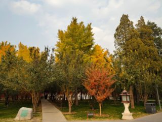 vivo nex3_IMG_20191106_145847