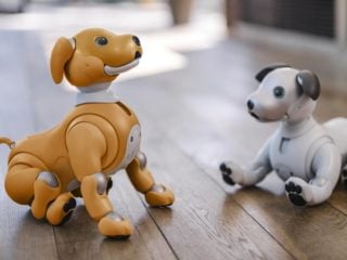 aibo 2020