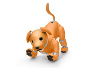 aibo 2020 01