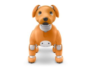 aibo 2020 04